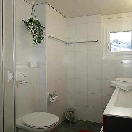 Baron / Baronesse Apartments Leukerbad Room photo